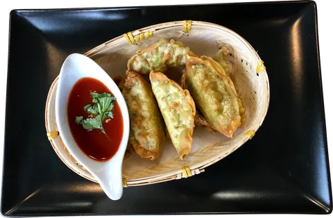 Gyoza Vegetable